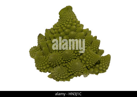 Green romanesco cauliflower head isolated on white background Stock Photo