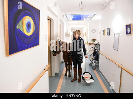 Berlin, Deutschland. 03rd Feb, 2017. Pony-Dame ·13· steht mit Besitzerin Hinrika Höges am 03.02.2017 einem Flur des Diakonie-Hospiz Wannsee in Berlin. Freitags kommt die Ponystute 13, benannt nach ·Jim Knopf und die Wilde 13·, zu einem besonderer Besuch in das Hospiz. (zu dpa-KORR 'Tierischer Besuch: Ein Pony im Hospiz' vom 08.02.2017) Foto: Rainer Jensen/dpa /dpa/Alamy Live News Stock Photo