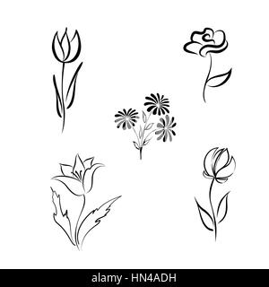 Flower set. Engraved hand drawing floral background design elements Different flowers isolated. Line fine art Stock Vector