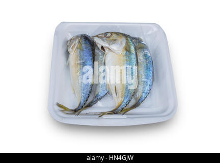 Thai Mackerel Fish isolated on white with clipping path Stock Photo