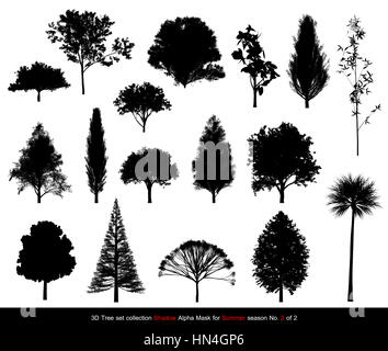 Silhouette Shadow black tree or alpha mask of Tree Summer season set for architecture landscape design, 3D Tree isolated on white No.2 Stock Photo