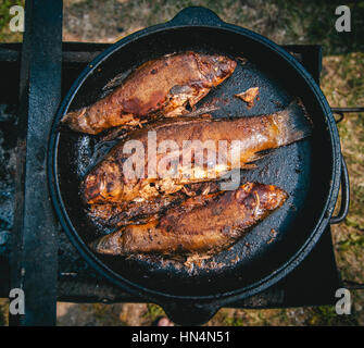 Fish in a frying pan over an outdoor fire Stock Photo - Alamy