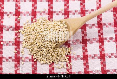 pearls barley grain seed on background Stock Photo
