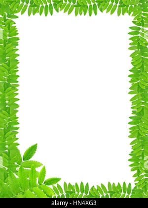 Nice picture frame made from freshness green leaves Stock Photo