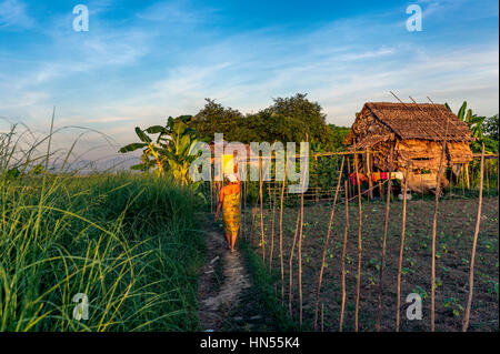 Myanmar (formerly Burma). Kayin State (Karen State). Hpa An. Peasant village. Fieldwork Stock Photo