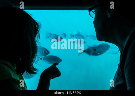 Mother and daughter looking at fish from the bottom of the sea through a glass in a boat in Medes islands at the Costa Brava, Girona, Catalonia, Spain Stock Photo