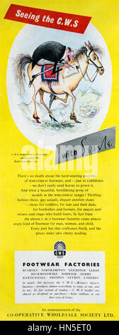 A 1950s advert for CWS Shoes illustrated with a Ronald Searle cartoon. Stock Photo