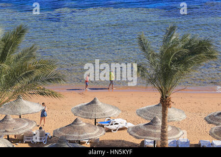 Beach in Sharm el-Sheikh. Egypt Stock Photo - Alamy