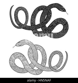 Snake set. Engraved hand drawn vector illustraction of ornamental decorated in zentagle style snakes. Stock Vector