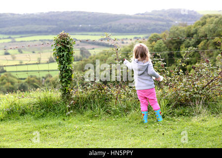 A young girl picking ripe wild blackberrys from brambles in a hedgerow in the english counryside Stock Photo