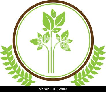 symbol leaves conservancy icon image, vector illustration Stock Vector