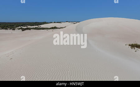 Big white sand dune - Little Sahara, Kangaroo Island, South Australia Stock Photo