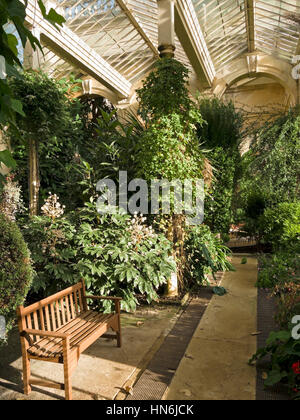 Interior of The Orangery at Castle Ashby Gardens, UK; built in 1872 to ...