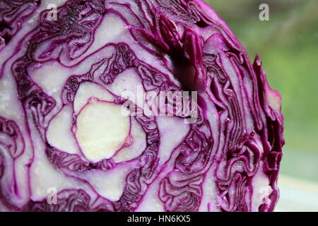 Sliced Red Cabbage with Green Background Stock Photo