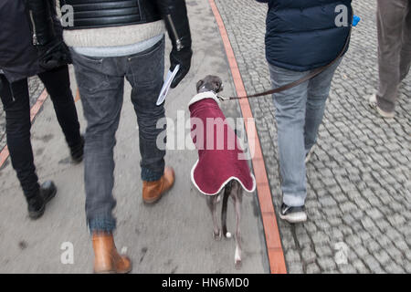 greyhound people Berlin Germany