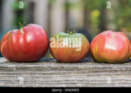 Three large heirloom tomatoes in a row on wood railing fence Stock Photo