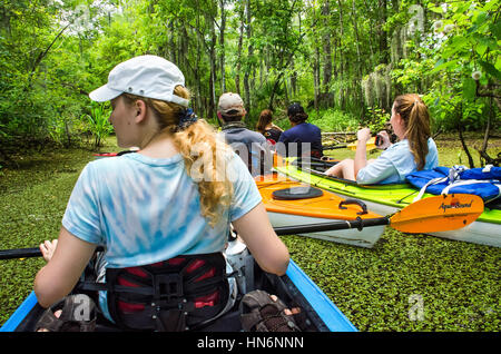 New Orleans, USA - July 11, 2015: People kayaking in still water swamp pond on tour with leaves floating on water Stock Photo