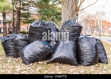 Black garbage bags filled wih leaves outside in neighborhood Stock Photo