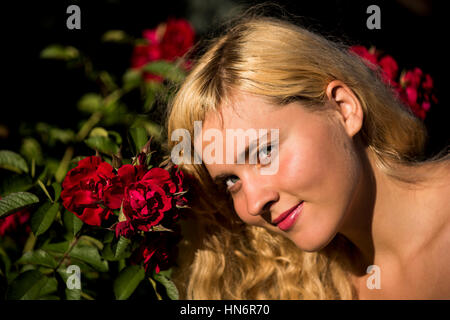 Closeup of young blonde woman smelling red roses on bush smiling Stock Photo