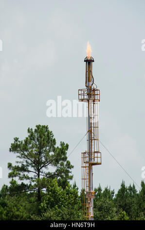 Oil refinery natural gas light flame on tower with trees Stock Photo