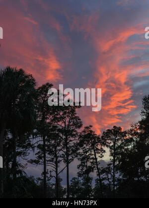 Beautiful sunset in the sky over Hillsborough River State Park, Florida, USA Stock Photo