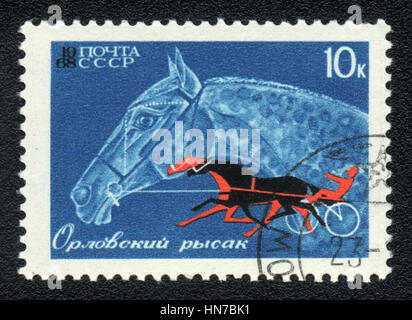 A postage stamp printed in USSR shows  a  Orlov trotter, series horse breed in a equestrian sport, circa 1968 Stock Photo