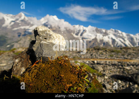 Closeup of a rock on the Shilthorn, Switzerland Stock Photo