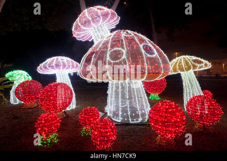 DUBAI, UAE - DEC 6, 2016: Beautiful mushrooms installation at the Dubai Garden Glow family theme park illuminated at night. United Arab Emirates, Midd Stock Photo