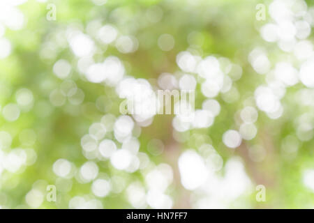 White and green nature bokeh circular shape, abstract background. Stock Photo