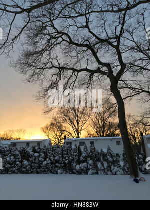 Merrick, New York, USA. 9th Feb, 2017. Sunset casts golden glow on snowy landscape in suburban Long Island home backyard. Snowstorm slams into Long Island, dumping over 12 inches of snow in banding on some areas. Winter snow storm and blizzard warnings were issued, and Gov. Cuomo urged drivers to stay off roads, due to near-whiteout conditions making visibility poor, and heavy snow and winds. Credit: Ann Parry/ZUMA Wire/Alamy Live News Stock Photo