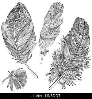 Feather set. Vector feathers on a white background. Vintage tribal feather collection. Series of doodle feather. Stock Vector