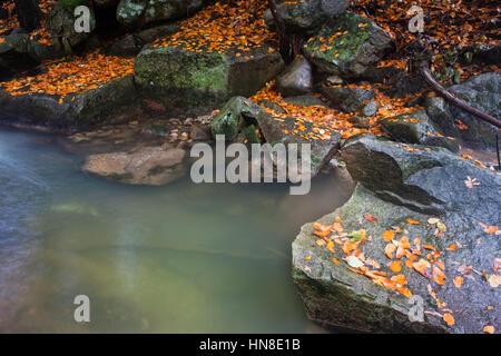 Leaves on boulders and rocks of mountain stream in autumn season Stock Photo