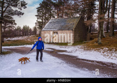 A dog walker by Gelder Shiel mountain bothy on the Balmoral Estate near Ballater, Aberdeenshire, Scotland, used by walkers for shelter in bad weather. Stock Photo