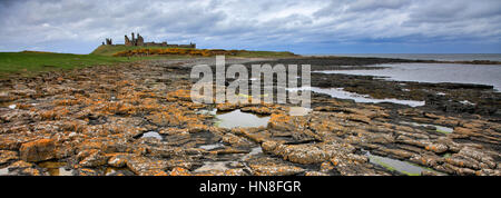 Summer blue skies, Dunstanburgh Castle, North Northumbrian Coast, Northumbria County, England, UK