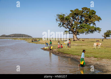 A Young Ethiopian Girl Collects Water From The Lake, Lake Ziway, Ethiopia Stock Photo