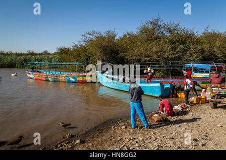 Local People Gutting and Fileting Fish On The Shores Of Lake Ziway, Ethiopia Stock Photo