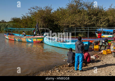 Local People Gutting and Fileting Fish On The Shores Of Lake Ziway, Ethiopia Stock Photo