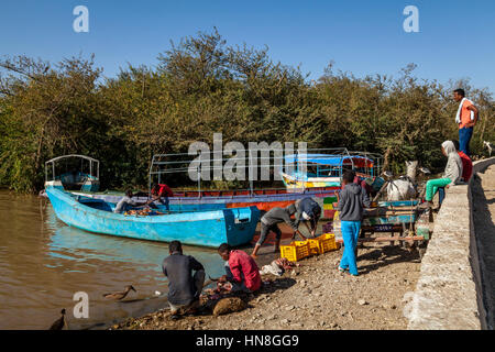 Local People Gutting and Fileting Fish On The Shores Of Lake Ziway, Ethiopia Stock Photo