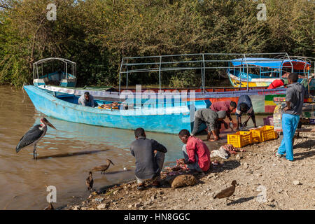 Local People Gutting and Fileting Fish On The Shores Of Lake Ziway, Ethiopia Stock Photo