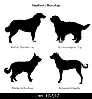 Dog silhouette icon set. Sheped dog collection. Sheedogs. Stock Vector