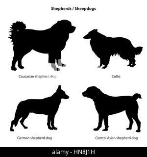 Dog silhouette icon set. Sheped dog collection. Sheedogs. Stock Vector