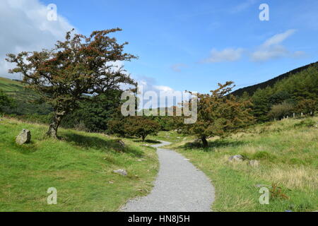 Aber Falls Trail, North Wales Stock Photo