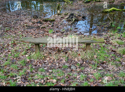 Haigh Country Park, Wigan, Lancashire Stock Photo
