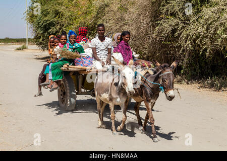 Traditional Donkey and Carriage Transport, Lake Ziway, Ethiopia Stock Photo