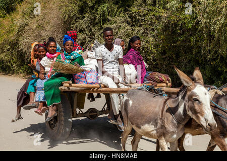 Traditional Donkey and Carriage Transport, Lake Ziway, Ethiopia Stock Photo