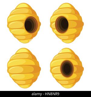 Honeycomb on white background front view, side view and back view. Stock Vector