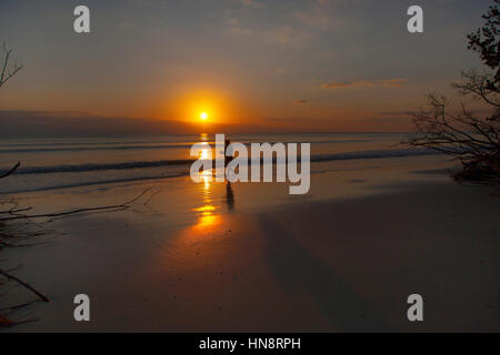 Shell Colecting at sunset on Fort Myers beach Florida USA Stock Photo