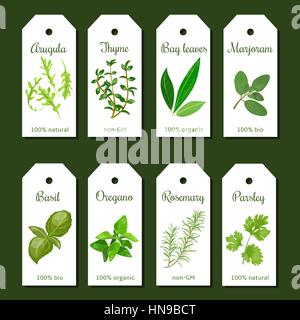 Cooking herbs tags. Cute label set. Culinary herbs. Bunch of seasonings. For cosmetics, organic market, farm products, health care products. Stock Vector