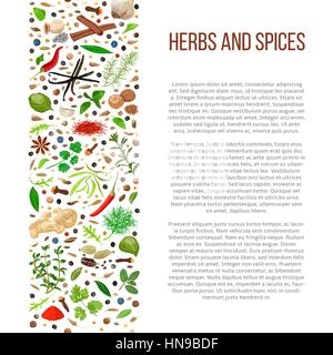 Popular culinary herbs and spices set in column with description. Benefits of cooking spices in informative poster with text. Design for cosmetics, Stock Vector