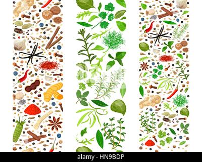 Popular culinary herbs and spices set organized in three ribbons. Cooking seasonings poster. Design for decoration, cosmetics, store, health care prod Stock Vector